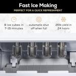 Igloo Self-Cleaning Portable Countertop Ice Maker