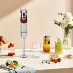 MegaWise 5-in-1 Immersion Blender Set - Red