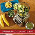Oster Pro 1200 Blender with Glass Jar