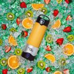 Magic Bullet 16 oz Portable Blender - Silver