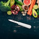 Dexter-Russell 3-Pack 3¼" Paring Knives