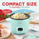 DASH Mini Rice Cooker and Steamer - Aqua