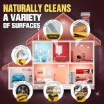 Handheld Steam Cleaner with 12 Accessories