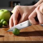 PAUDIN Ultra Sharp 3.5 Inch Paring Knife