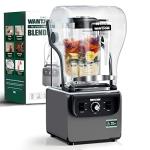Wantjoin Quiet Blender for Smoothies and Drinks