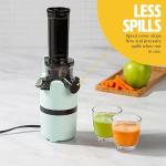 Compact Slow Juicer for Fresh, Nutrient-Rich Juice