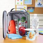 Fit & Fresh Penguin Slim Lunch Box Ice Packs