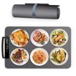 Electric Food Warming Tray with Adjustable Temperature