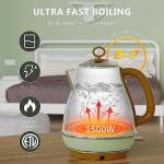 Evoloop 1.7L Stainless Steel Electric Kettle