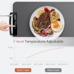 Electric Food Warming Tray with Adjustable Temperature