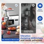 Sinyder Heavy Duty Electric Meat Grinder & Mincer