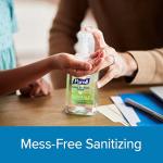 Purell Advanced Foam Hand Sanitizer - 10 fl oz