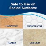 Bissell Powerfresh Deluxe Steam Mop for Floors