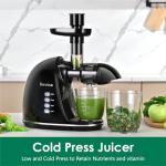 Brecious Cold Press Slow Juicer with 2 Speeds