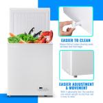 DEMULLER 3.5 CU.FT Ultra-Low Temp Chest Freezer