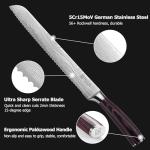 PAUDIN 10-Inch Serrated Bread Knife, German Steel