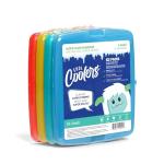 Fit & Fresh 4 Pack Slim Ice Packs