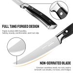 OAKSWARE German Steel Steak Knife Set of 4