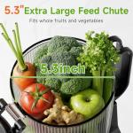 Extra Large Cold Press Juicer with Easy Clean