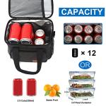 Femuar Insulated Leakproof Lunch Box - Black