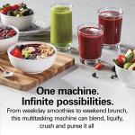 Hamilton Beach PowerMax Professional Blender for Smoothies