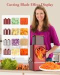 Electric Cheese Grater and Vegetable Slicer with Blades