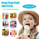 5.0 Cu Ft Compact Chest Freezer with Basket