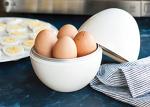 Nordic Ware Microwave Egg Cooker