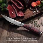 PAUDIN Set of 6 High Carbon Steak Knives