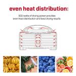 Nesco FD-60 Snackmaster Food Dehydrator with 4 Trays