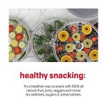 Nesco FD-60 Snackmaster Food Dehydrator with 4 Trays