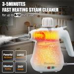 Roaaee Portable Handheld Steam Cleaner with Accessories