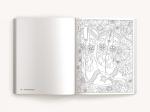 Texas-themed Coloring Book for Fun and Relaxation