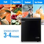 DEMULLER 4.0 CU. FT Ultra-Low Temp Chest Freezer