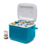 Coleman 16qt Portable Insulated Ice Cooler