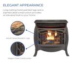 Duluth Forge Dual Fuel Ventless Gas Stove