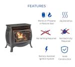 Duluth Forge Dual Fuel Ventless Gas Stove