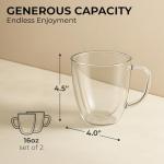 Kaffe Insulated Glass Coffee Cups (2 Pack)