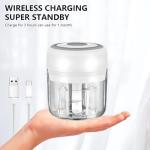 Compact Electric Food Processor and Garlic Chopper