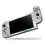 Marble & Blue Frosted Skin Decal for Switch