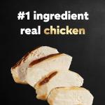 Cesar Wet Dog Food, Rotisserie Chicken Flavor, 24 Pack