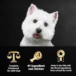 Cesar Wet Dog Food, Rotisserie Chicken Flavor, 24 Pack