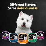 Cesar Wet Dog Food, Rotisserie Chicken Flavor, 24 Pack