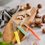 Colorful 3-Piece Stainless Steel Paring Knife Set