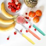 Colorful 3-Piece Stainless Steel Paring Knife Set