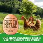 Organic Valley Free-Range Brown Eggs, 18 Count