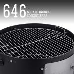 Sunlifer 20.5" Vertical Charcoal Smoker and Grill