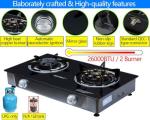Horynar 2-Burner Propane Stove with Auto Ignition