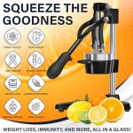 Eurolux Extra-Large Manual Citrus Juicer with Cup