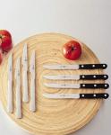 ZWILLING Stainless Steel 4-Piece Steak Knife Set